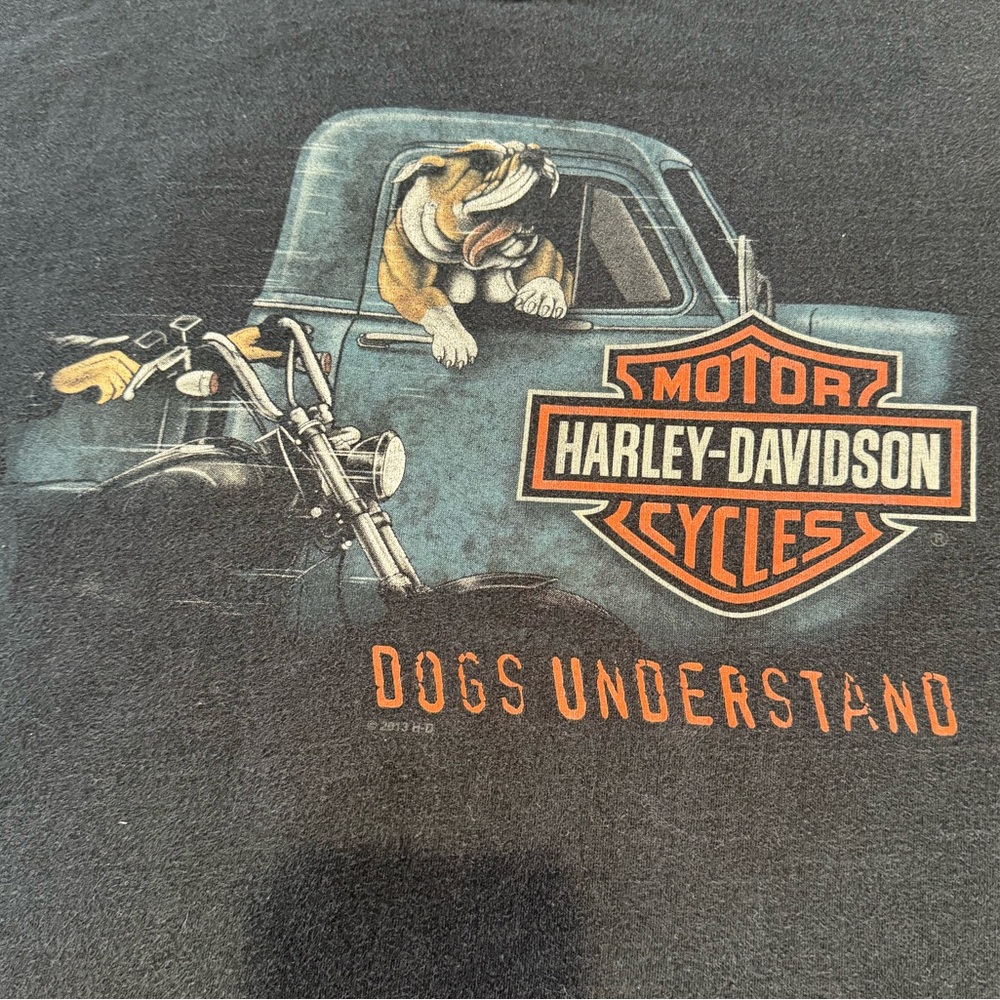 Extra large Harley Davidson